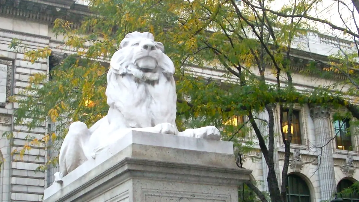 ニューヨーク公共図書館の前庭にある、白く威厳のあるライオン像「ペイシェンス」をローアングルで捉えた写真。背景には図書館の建物と木々が写っています。