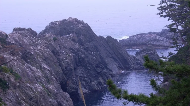 岩肌が露出し多くの鳥が群生する険しい島の風景。曇り空の下、波が打ち寄せる様子