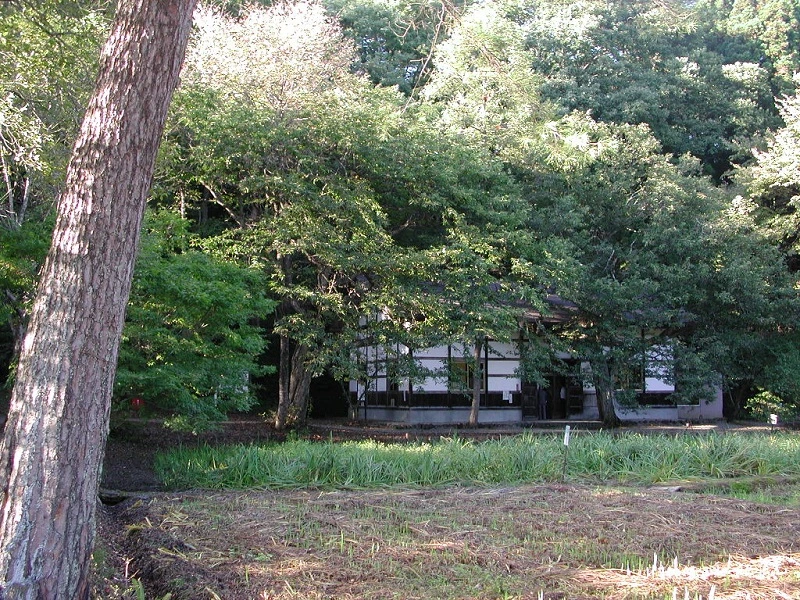 木々に囲まれた静かな日本家屋の写真