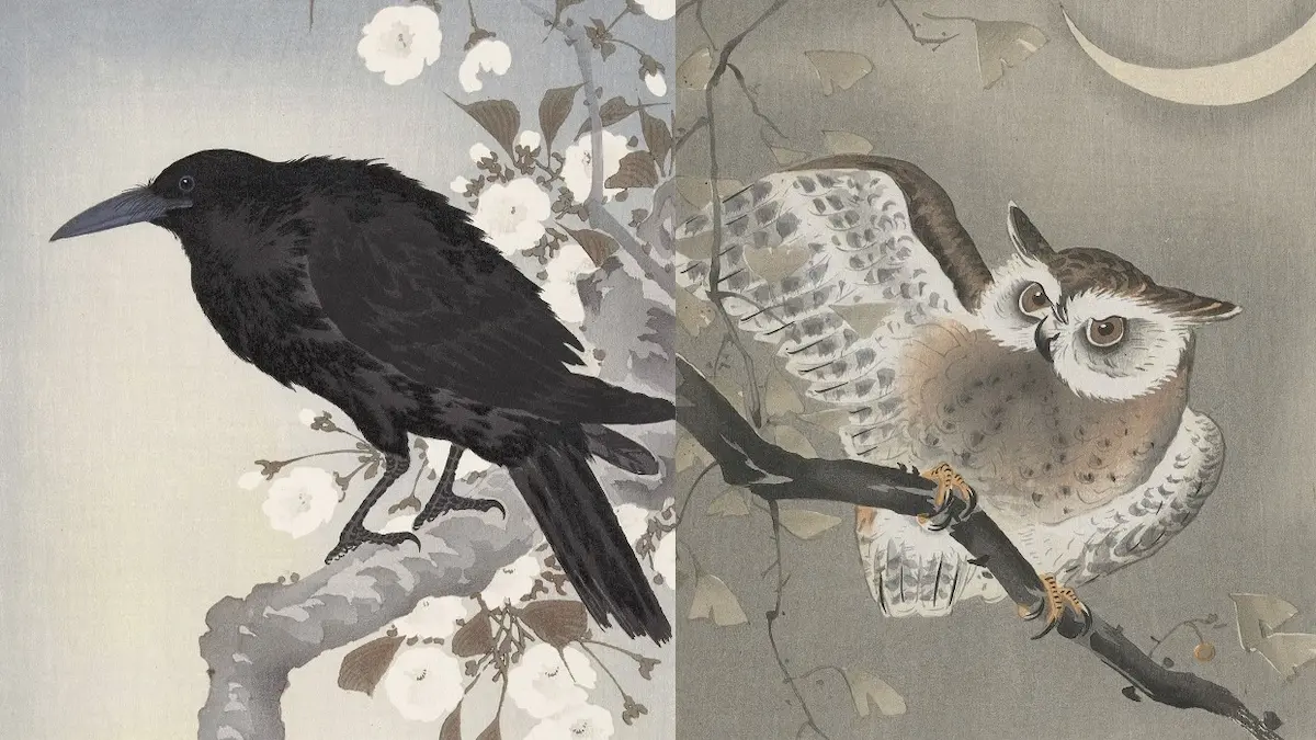 小原古邨による日本画のコラージュ。左は満開の桜の枝に止まる黒いカラス、右は三日月の夜に銀杏の枝に止まるミミズク。パブリックドメインの木版画作品。