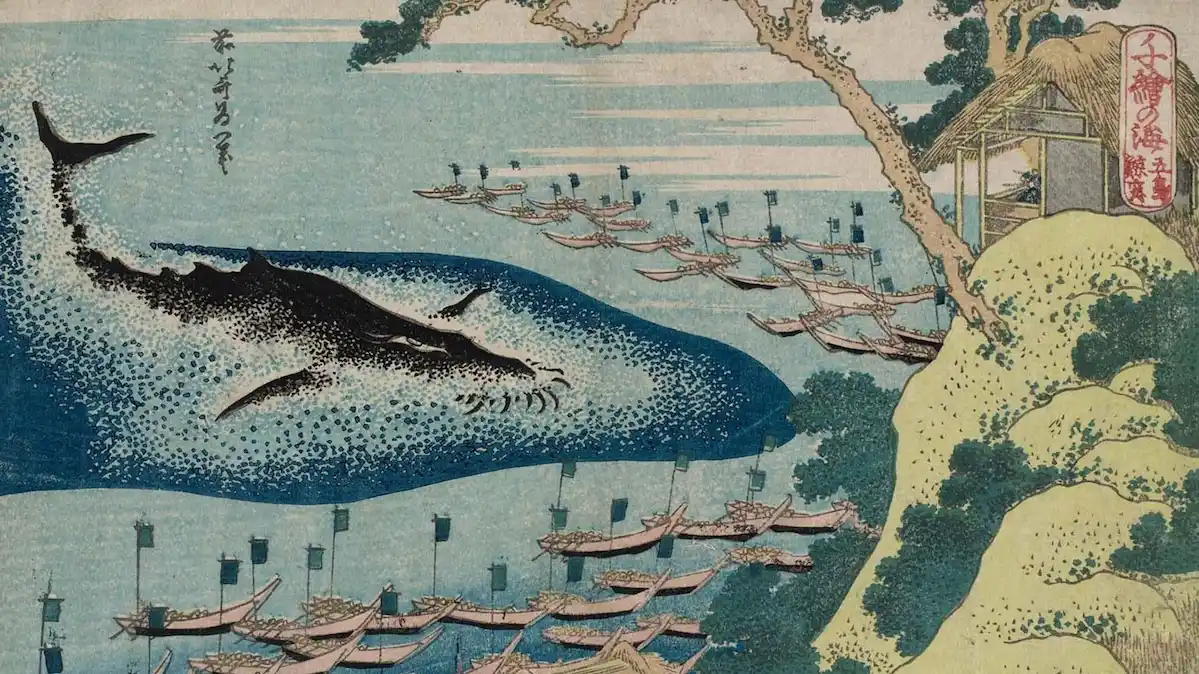 19世紀の浮世絵。葛飾北斎の『千絵の海』シリーズより「五島鯨突」。荒立つ波間に巨大な黒い鯨が背を見せ、その周囲を無数の小さな捕鯨船が包囲している。画面右側には崖と、鯨を見守るための小さな小屋が描かれている。ボストン美術館蔵。