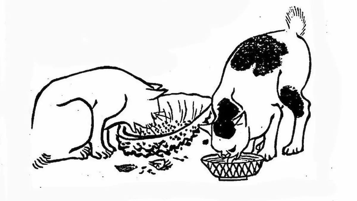 三代 歌川広重『百猫画譜』より、並んで食事をする猫を描いたパブリックドメインの挿絵。明治時代に刊行された猫づくしの画帖から、器で餌を食べ水を飲む2匹の猫を捉えたユーモラスなモノクロ線画。